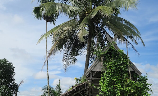 Palangkaraya Hotel | Bukit Raya Guesthouse