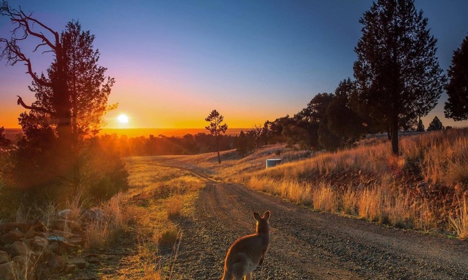 Cumboogle Casa | Bulwarra Accommodation - Heritage Studio