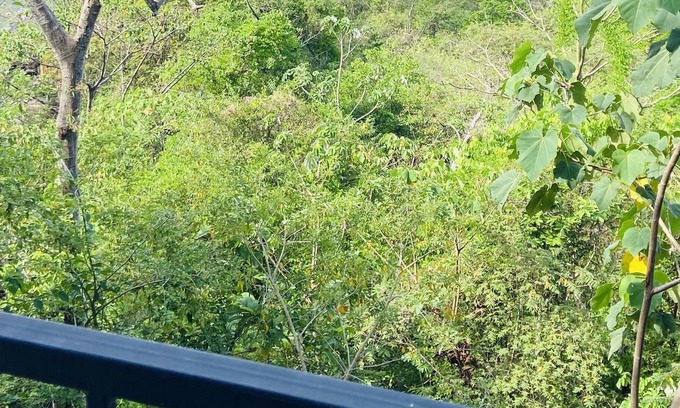 Paquera Casa | Bungalow 14 floor 2, with Ocean View, 5 pax max, 10 min from Curu National Park.