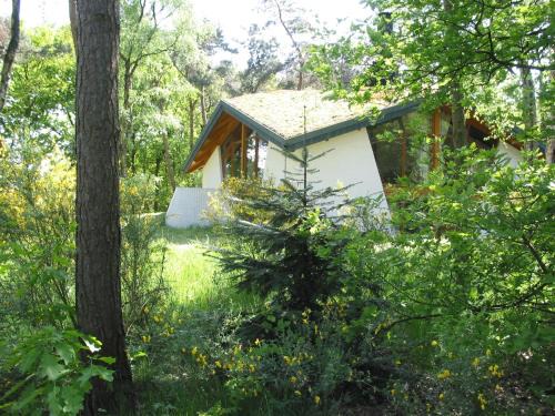 Herpen Casa | Bungalow in Herperduin with Private Garden