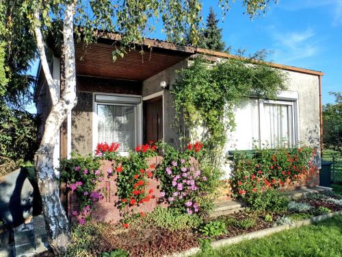 Gross-Sarchen Apartamento | Bungalow Krzyzaniak