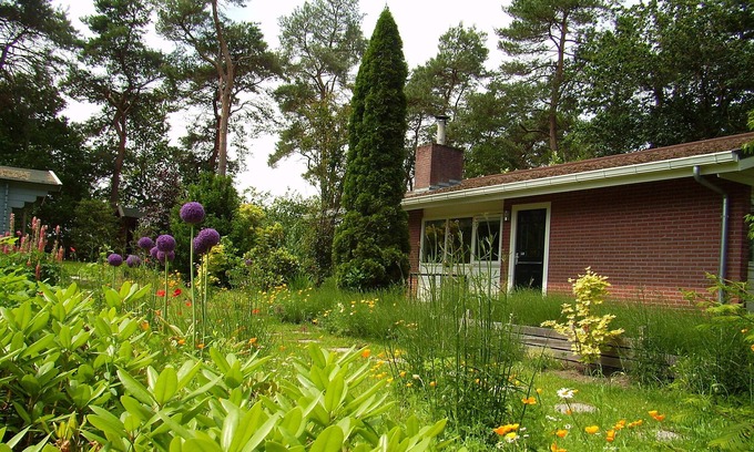 Rheezerveen Casa | Bungalow cerca de Slagharen y Hardenberg (WiFi gratis)
