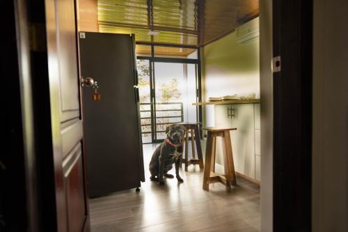 Tena Apartamento | Bunker593 Inn