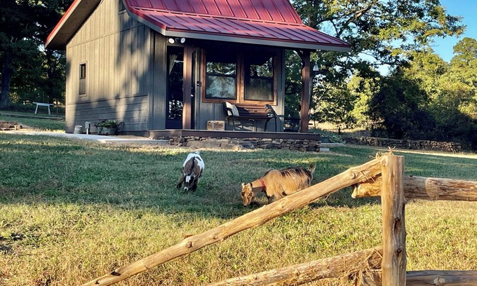 Mt. Sherman Cabina | Bunkhouse in the Beautiful Ozark Mountains Near Iconic Buffalo National River