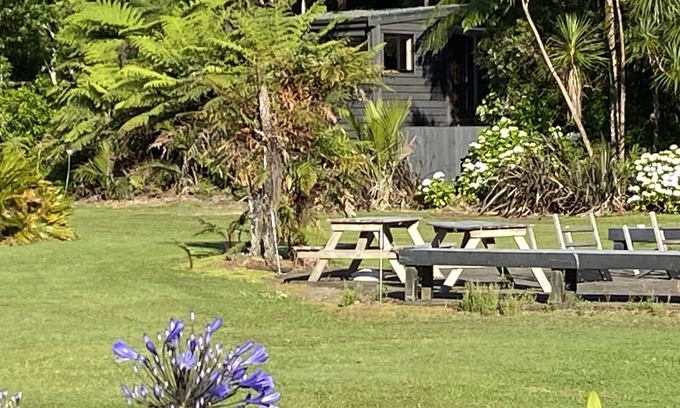 Whangamata Cabina | Bush Edge Studio