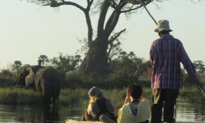 Okavango Delta Otro | Bushemen Plains Camp-Wild Map Safaris