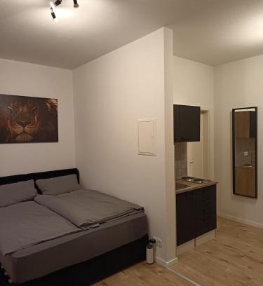 Sandhofen Apartamento | Business Apartment mit neuem Bad/WLAN/Smart-TV/Küche