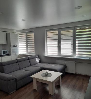 Anyksciai Apartamento | Butukas