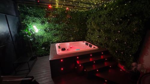 Villemomble Apartamento | By nuit-parisienne : Superbe appartement avec SPA et terrasse privée