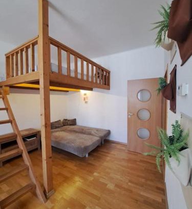 Ceske Budejovice Apartamento | Byt u centra