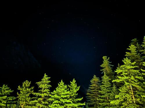 Mohal Casa | Byway, Kasol