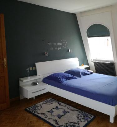 Munster Apartamento | "Côté cœur", charmant appartement au centre de Munster