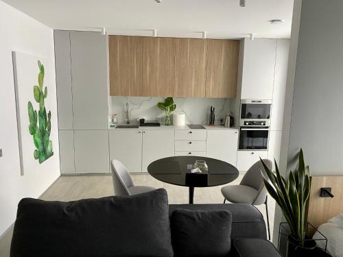 Kosuv Stary Apartamento | Caсtus Apartments 1