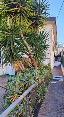 Sanremo Casa | Ca'del pescatore