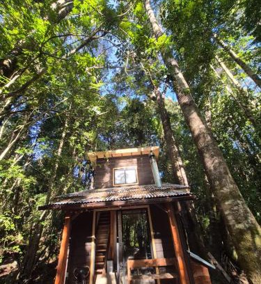 Panguipulli Casa | Cabaña Alto del Bosque