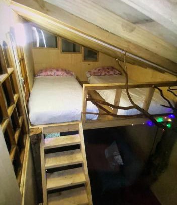 Pinto Chalet De Esquí | Cabaña bosque