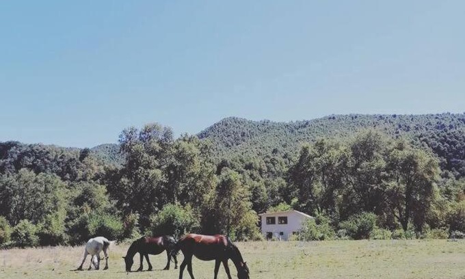 Pinto Casa | Cabaña con patio de 10 hectáreas