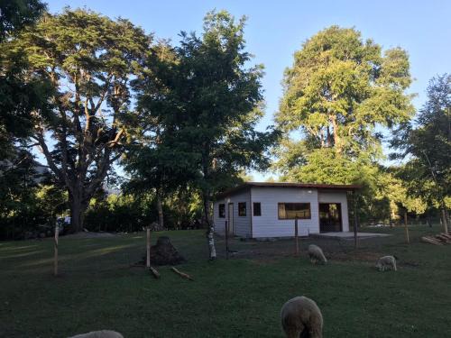 Pucon Casa | Cabaña de Damián