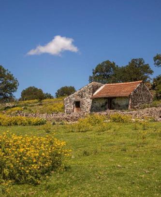Terrenate Apartamento | Cabaña Diego de Lucas