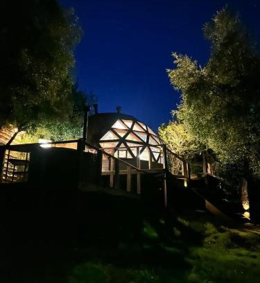 Casa de Lata Apartamento | Cabaña Domo Bosque Escondido