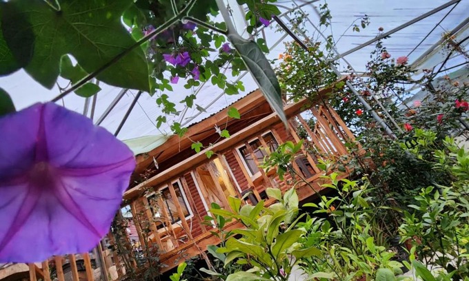 Canton Dota Casa | Cabaña el Faisán, Jardín de Dota