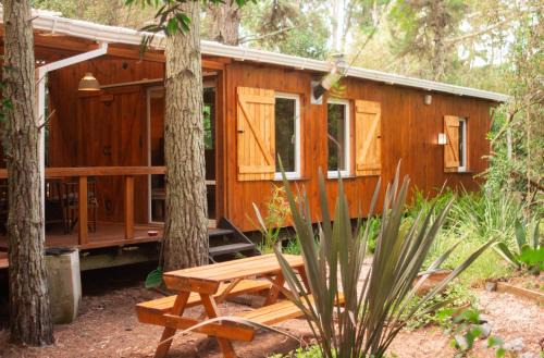 Mar de Las Pampas Casa | Cabaña Junco