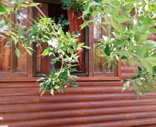 Gualeguaychú Casa | Cabaña Los Cardenales