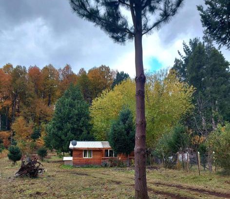 Melipeuco Apartamento | Cabaña May Pao, para 3 en Melipeuco cerca del Parque Nacional Conguillio