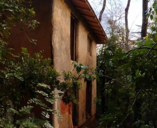 Pinto Apartamento | Cabaña rustica en los Lleuques
