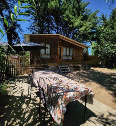 La Serena Apartamento | Cabaña Valle del Elqui, La campana
