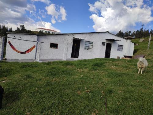 Guatavita Casa | Cabañas Casa Campo Guatavita