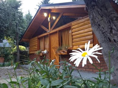 Golondrinas Cabina | Cabañas del Bosque Bariloche