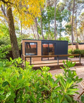 Sacedón Otro | Cabañas del bosque Sacedón