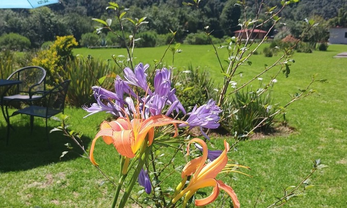 Valle de Bravo Hotel | Cabañas El Fresno