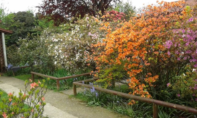 Valdivia Cabina | Cabañas El Jardin
