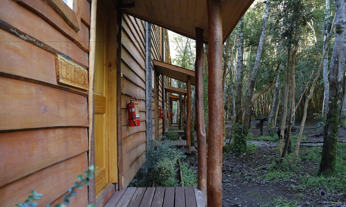 Ensenada Cabina | Cabañas Ensenada Bosque Nativo