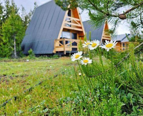 Moquehue Casa | Cabañas Entre Cumbres