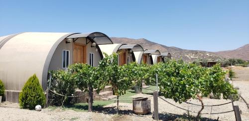 Valle de Guadalupe Cabina | Cabañas Valle de Guadalupe