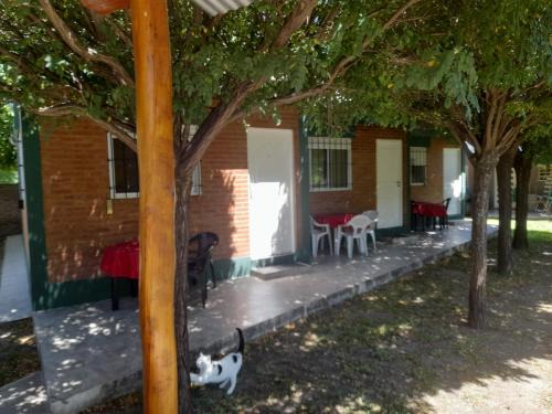 Villa Cura Brochero Casa | Cabañassoleado Villa Cura Brochero