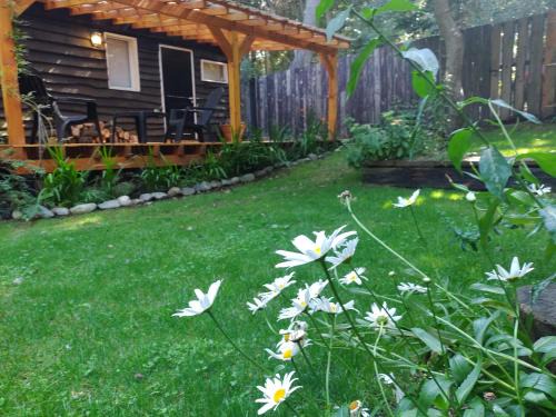 San Carlos de Bariloche Apartamento | Cabañita del bosque