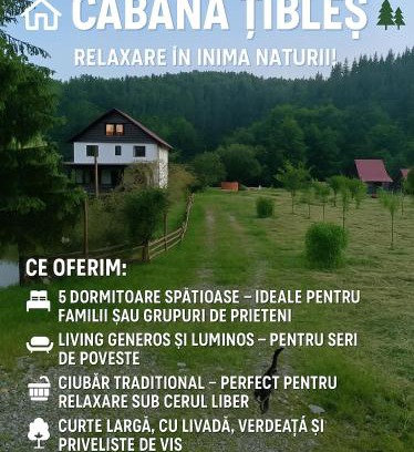 Cosbuc Casa | Cabana Țibleș