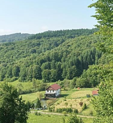 Cosbuc Casa | Cabana Țibleș