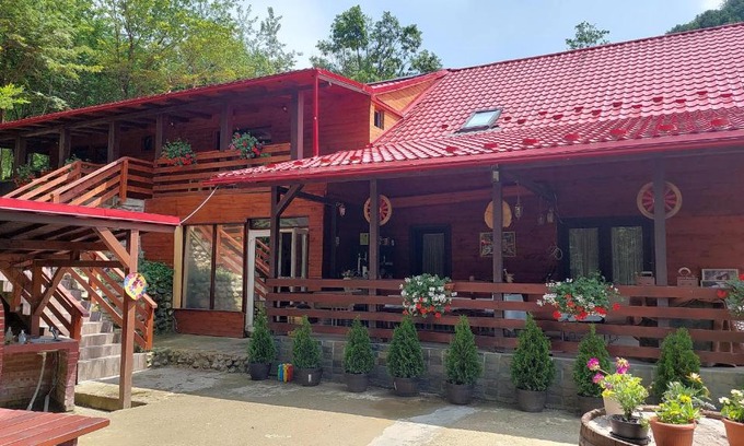 Baia Mare Cabina | Cabana Alpha