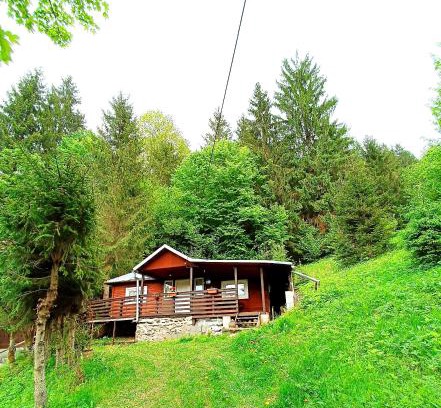 Lunca Bradului Chalet De Esquí | Cabana din padure