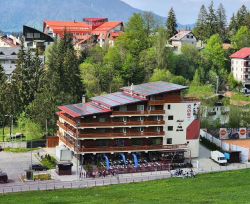Predeal Hotel | Cabana Fulg De Nea Predeal