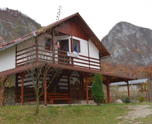 Salciua de Jos Casa | Cabana La Florut