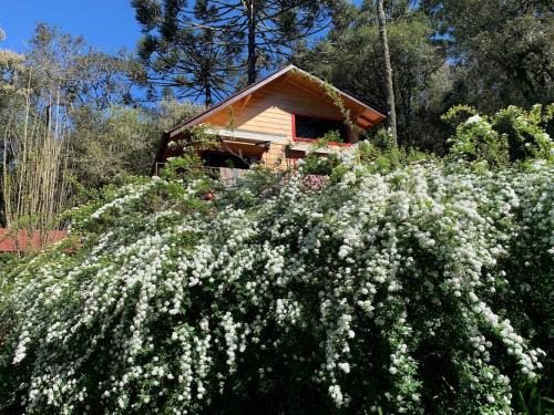 Urubici Chalet De Esquí | Cabana na montanha