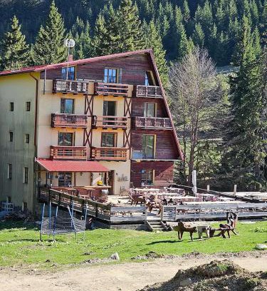 Rasnov Hotel | Cabana Saua Diham