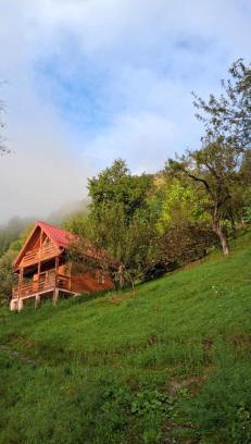 Viseu de Sus Cabina | Cabana Ulmului