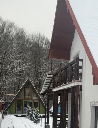 Valiug Casa | Cabana Vânătorilor A Frame Green